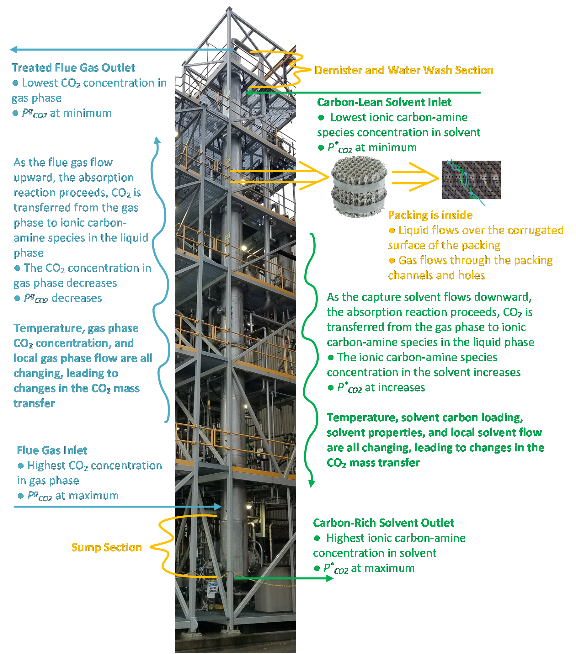 The CO2 Absorber